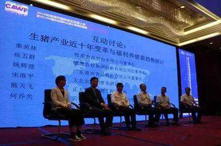 dota2历史背景介绍：卓尔游侠——代替森林低语的凝霜美人