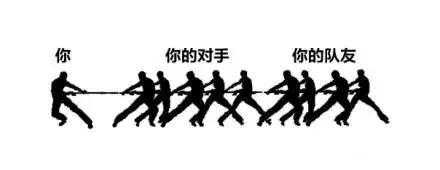 周末屌报