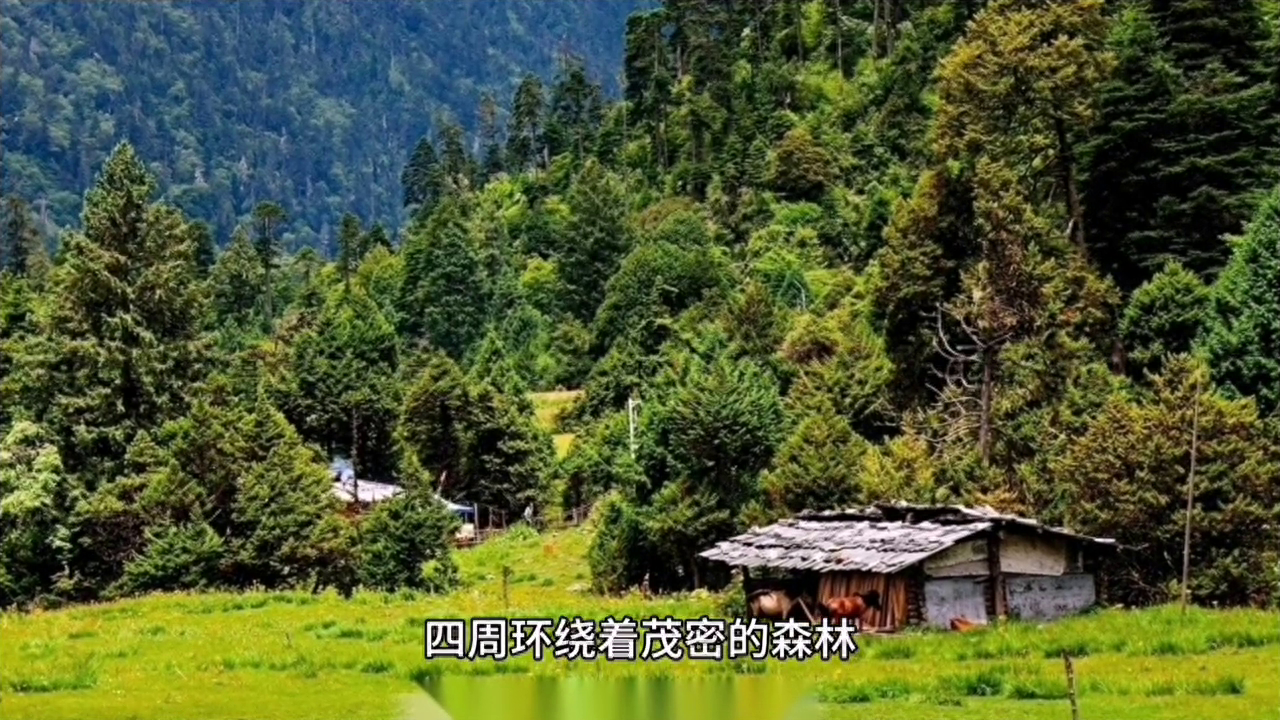 她在森林边唱着美妙的歌曲，守护着村庄的安宁