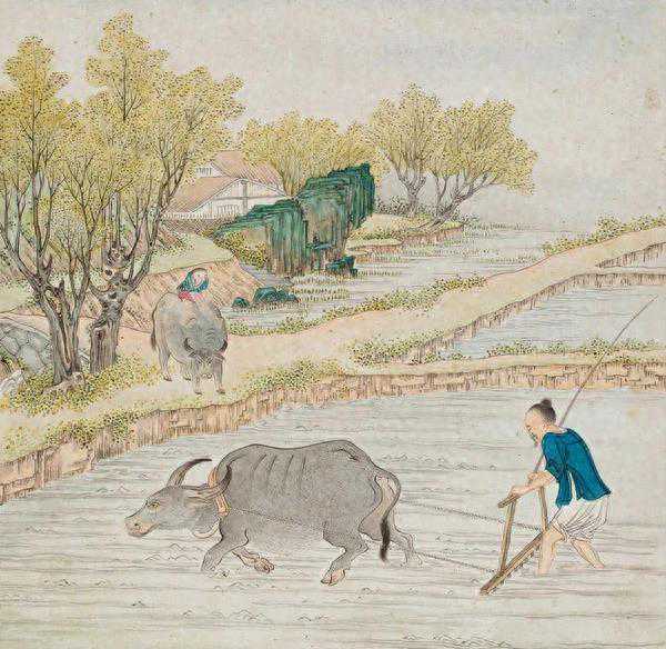 古之“玄鸟”能预示晴雨农时？看古人洞察自然的智慧！