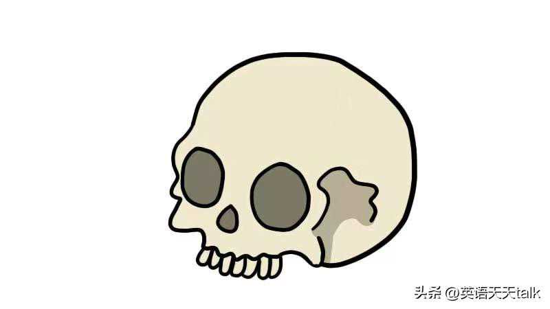 老外常说的bonehead，翻译成“骷髅头”，还真有点害怕
